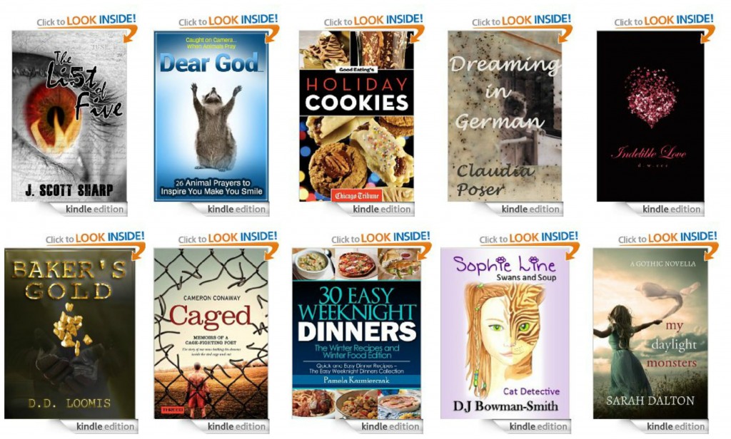 10 Free Kindle Books 10-31-13