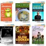 10 FREE Kindle Books for 11/06/2013