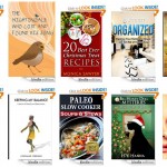10 FREE Kindle Books for 12/11/2013