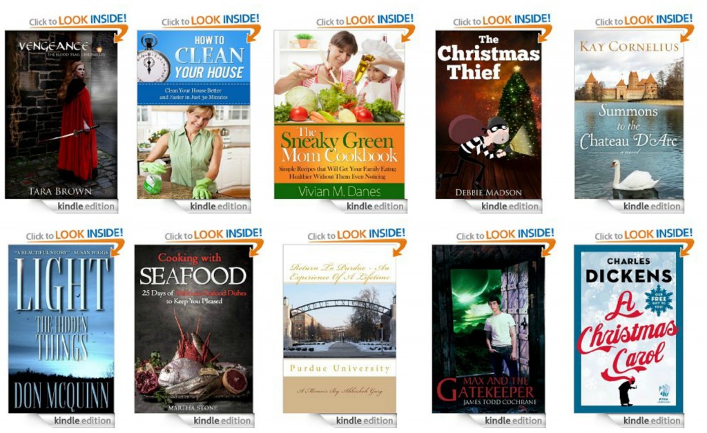 10 Free Kindle Books 12-12-13