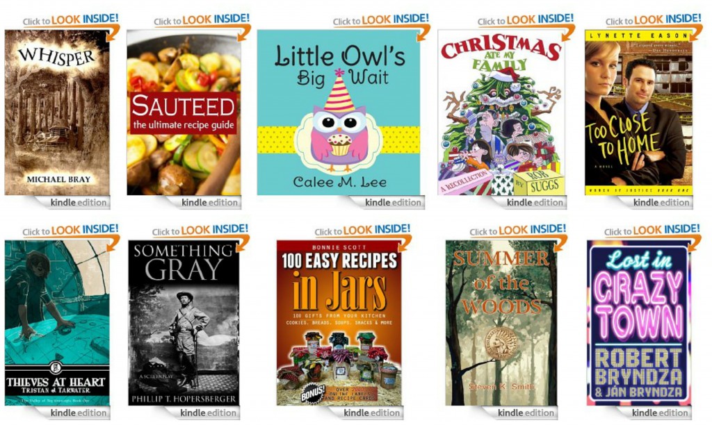 10 Free Kindle Books 12-9-13