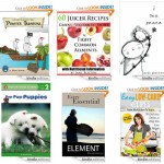 10 FREE Kindle Books for 01/01/2014