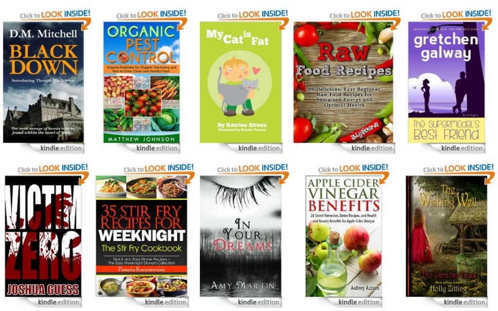 10 Free Kindle Books 1-15-14
