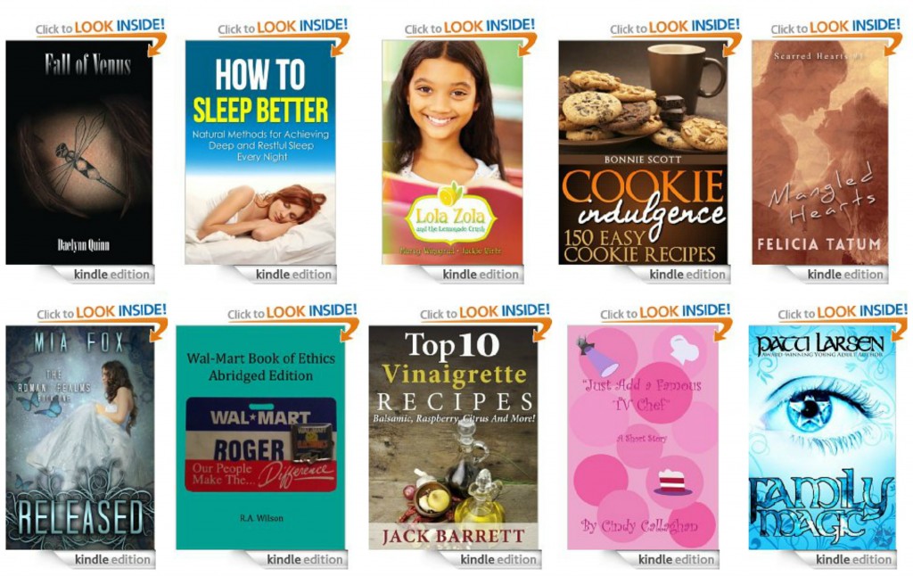 10 Free Kindle Books 1-28-14