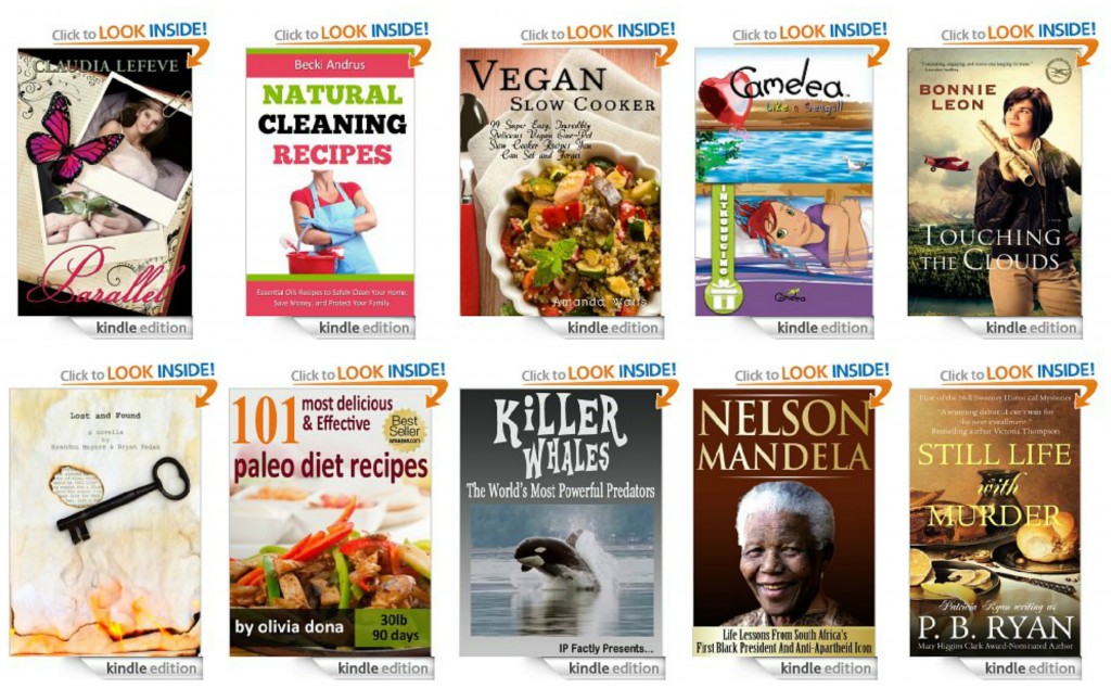 10 Free Kindle Books 1-8-14