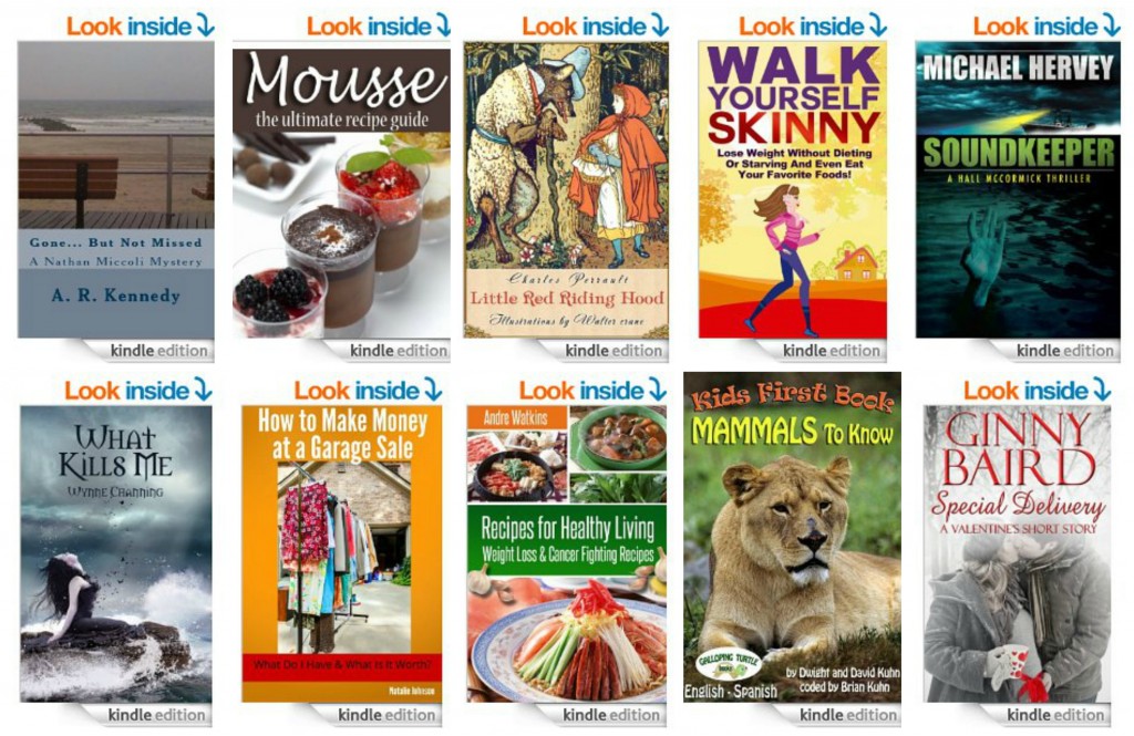 10 Free Kindle Books 2-10-14