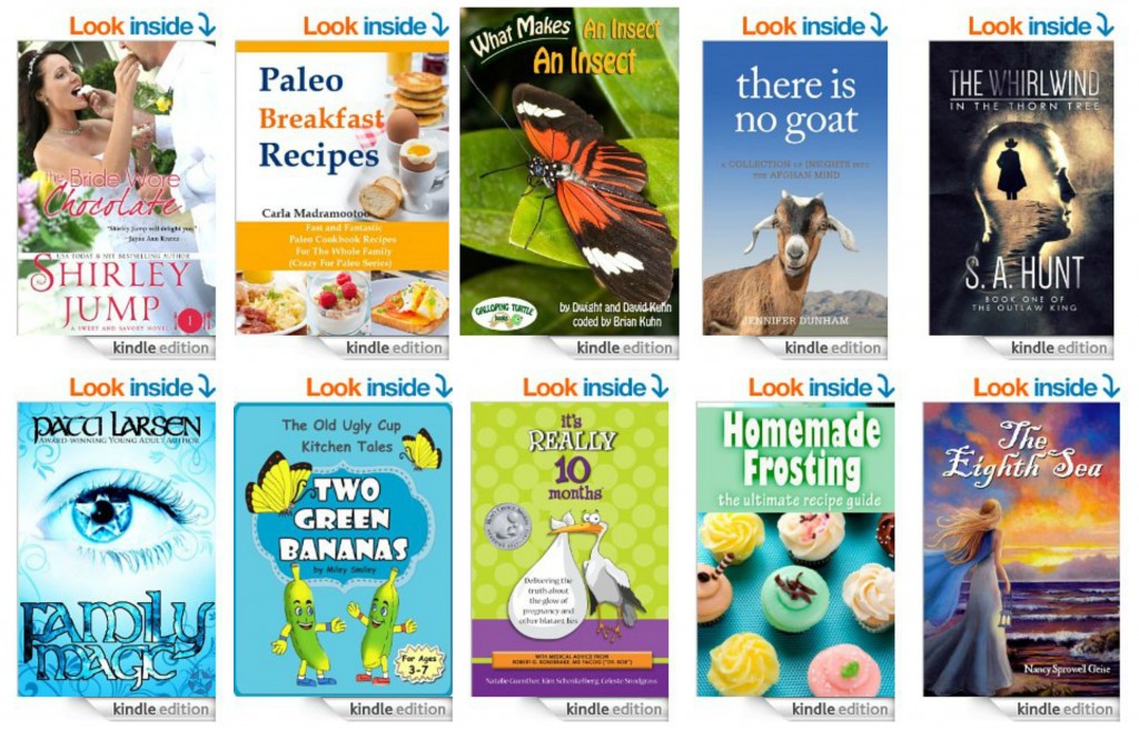 10 Free Kindle Books 2-24-14