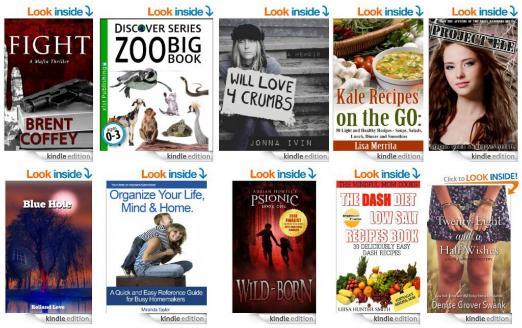 10 Free Kindle Books 2-27-14