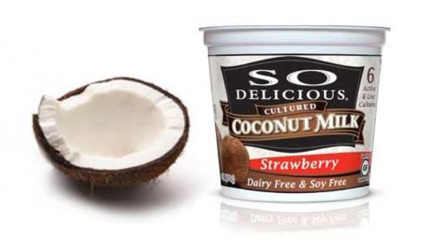 So Delicious Yogurt 1