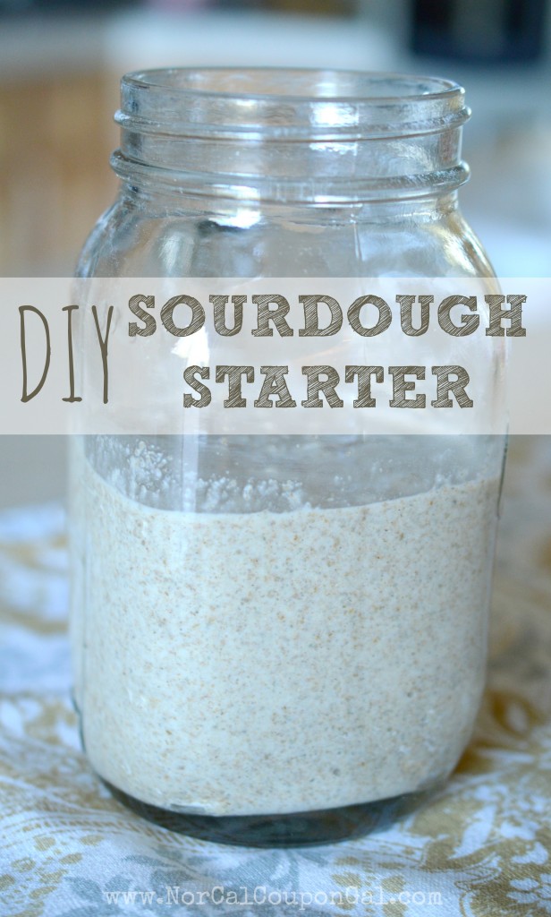 DIY Sourdough Starter
