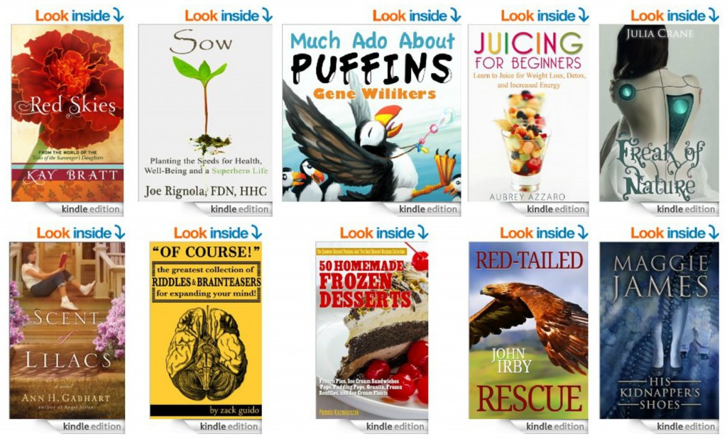 10 Free Kindle Books 4-2-14