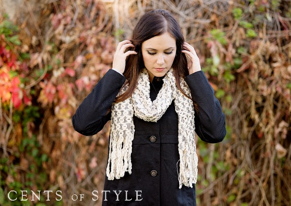 Cents of Style Scarf