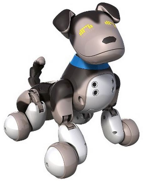 Zoomer