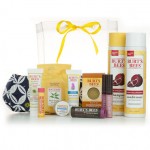 Burt’s Bees Holiday Grab Bag Just $25 (Reg. $55)