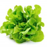 Save 20% On Loose Lettuce With New SavingStar Offer