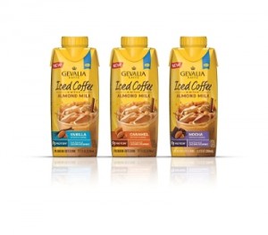 Gevalia Iced Coffee Single