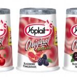Yoplait Yogurt Cups As Low As $0.20