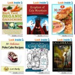 10 FREE Kindle Books for 05/26/2014