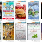 10 FREE Kindle Books for 05/29/2014