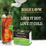 FREE Bigelow Tea Sample