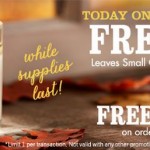 FREE Bath & Body Works Leaves Candles With ANY Purchase + FREE Shipping