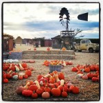 Sacramento Perks Goblin Gardens Pumpkin Patch Deal – Save As Much As 63%