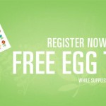 FREE Fiora Egg Tattoos (First 100,000!)