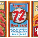 Sprouts 72 Hour Sale – Great Deals On Strawberries, Mandarin Oranges, Chicken & More!