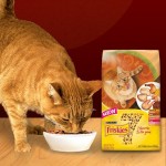 FREE Purina Friskies 7 Cat Food Sample
