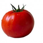 FREE Organic Tomato Seeds