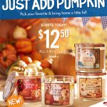 New Bath & Body Works Coupon – FREE Item With ANY $10 Purchase